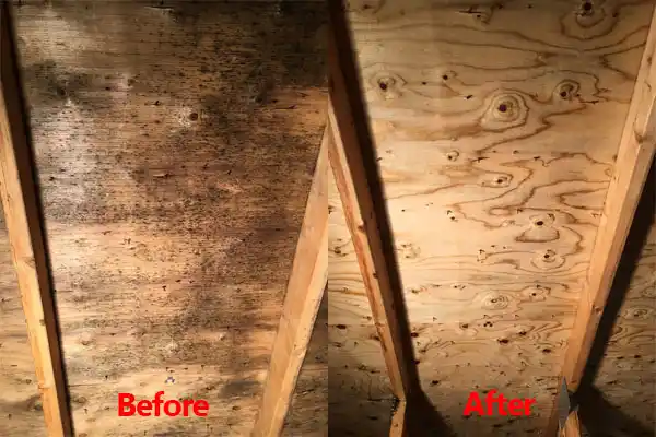 water damage restoration service Fordsville
